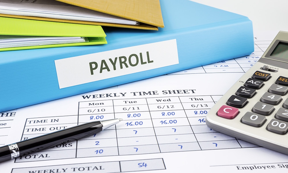 Why You Should Outsource Payroll For Your Growing Business - Close-up of Payroll Items